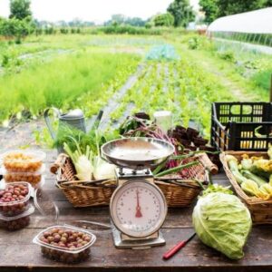 Guide distributeur automatique de produits fermiers