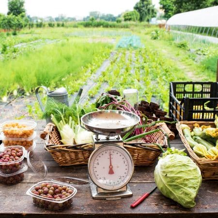 Guide distributeur automatique de produits fermiers